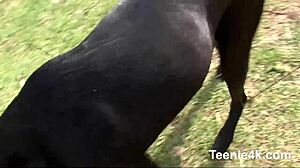 petite 18yo brunette teen with small tits takes monster cock facial deep