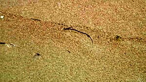 check out this gorgeous teen bathing naked in the ocean waves