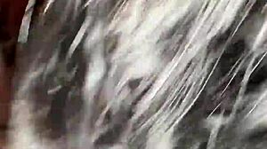 Sloppy Sucking Big Black Monster Cock