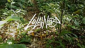 Raw Interracial Milf Outdoor Fuck