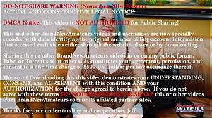 blue haired dixie sucks deep then pussy drilled