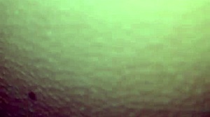 ella lame el ano sin orillas y recibe verga metida profundo y duro