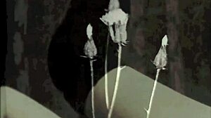 Hairy Beaver Pussy Fucked Vintage Erotic Blowjob Retro