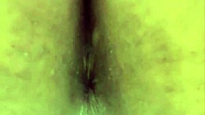 Filled Ass with Cum Now Lick It