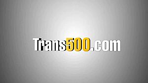 i need that trans wench's ass pounded