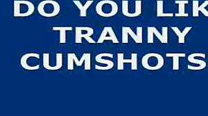 Big Shooter Ladyboy Crossdresses for Intense Transsexual Release