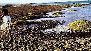 White Blonde African Rides Cock Public Beach Outdoors