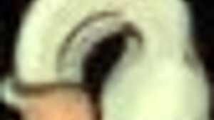 Fuckerman's Campus Conquest Ignites Wild Passions