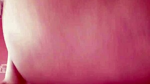 sundaydogood614 shares update 209 video from may 25.