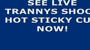 Big Shooter Ladyboy Crossdresses for Intense Transsexual Release