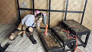 Monika Fox Harley Quinn Fucks Holes Baseball Bat