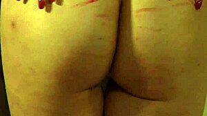 dominant mistress watches slaves undress then lick pussies bound