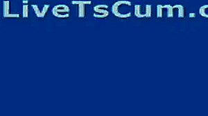 Big Shooter Ladyboy Crossdresses for Intense Transsexual Release