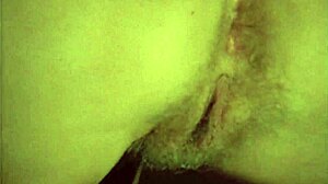 Hairy Beaver Pussy Fucked Vintage Erotic Blowjob Retro