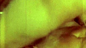 Hairy Beaver Pussy Fucked Vintage Erotic Blowjob Retro