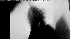 Hairy Beaver Pussy Fucked Vintage Erotic Blowjob Retro