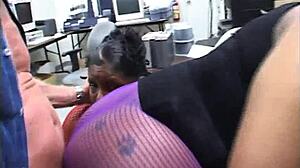 Chunky black bbw bitches get white dick in every fat hole