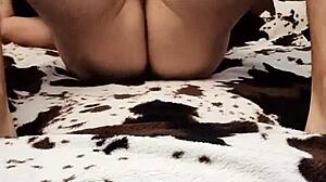 i crave my husband's cock in every position we try