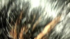 madre soltera chupa pinga en taxi por calles de lima