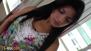 hey this feisty shemale is fucking that guy bareback in lingerie pov