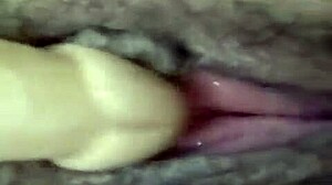 dana barzagli toys her latina ass in hot masturbation