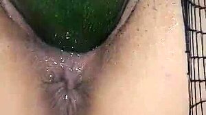 colombian milf rabitquicky shoves cucumber deep in squirting pussy