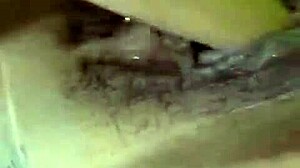 dana barzagli toys her latina ass in hot masturbation