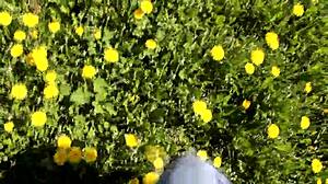 Skinny teen stranger drops to knees for POV blowjob and facial cumshot outdoors