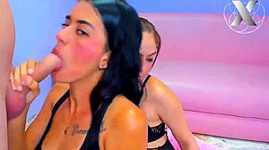 College Sluts with Big Tits Deepthroat My Monster Cock Orgy for Homework Help Sucking Cum