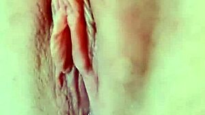 shaving my hairy pussy lips smooth and tight