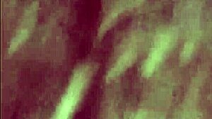 Girlfriend's soft soles licked and toes sucked in foot fetish play