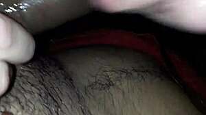 she sucks my cock hard i tell her stop before i cum all over