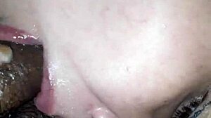 she sucks my cock hard i tell her stop before i cum all over