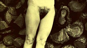 Two centuries of hairy beaver blowjobs in vintage retro porn