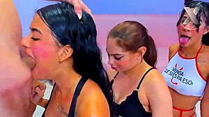 College Sluts with Big Tits Deepthroat My Monster Cock Orgy for Homework Help Sucking Cum