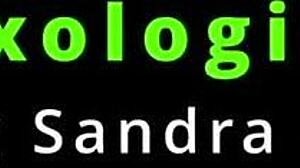 Sandra Chappelle Petite Latina Sexologist Bent Over Doggystyle Missionary Tits