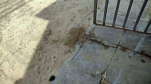 what if neighbors caught you filming homemade milf porn video?