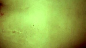 Unsatisfied Indian girlfriend begs friend's big cock in both holes farts cum