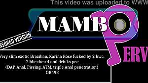 very slim exotic brazilian karina rose takes bwc bbc triple anal dap atm gaping dry