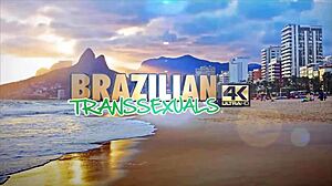 isabela salvatore and louyse hills brazilian shemales suck big cocks bareback