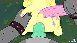 Canaryprimary shatters that non-aggression pact slyly