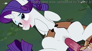 Canaryprimary shatters that non-aggression pact slyly