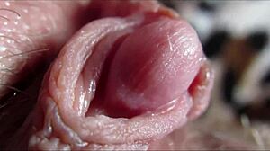 closeup big clit pulsing throbs to intense orgasm