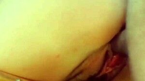 damn that palpitante polla throbs deep in tight creampie pussy