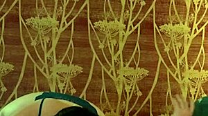 bbw gives hot oral in steamy compilation moments