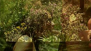 Eva Angelina Deepthroats Thick Cock Then Fucks Doggystyle in Fishnets Outdoors