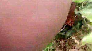 big ass fuck in bush on hot afternoon