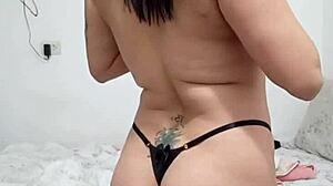 Novinho dances bends me over big tits bouncing fun