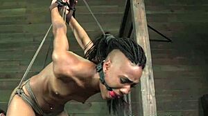 Ebony Submissive Trembles in Strappado Bondage as Master Punishes All Holes Roughly