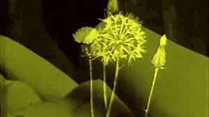 vintage erotic art captures timeless seductive poses and curves